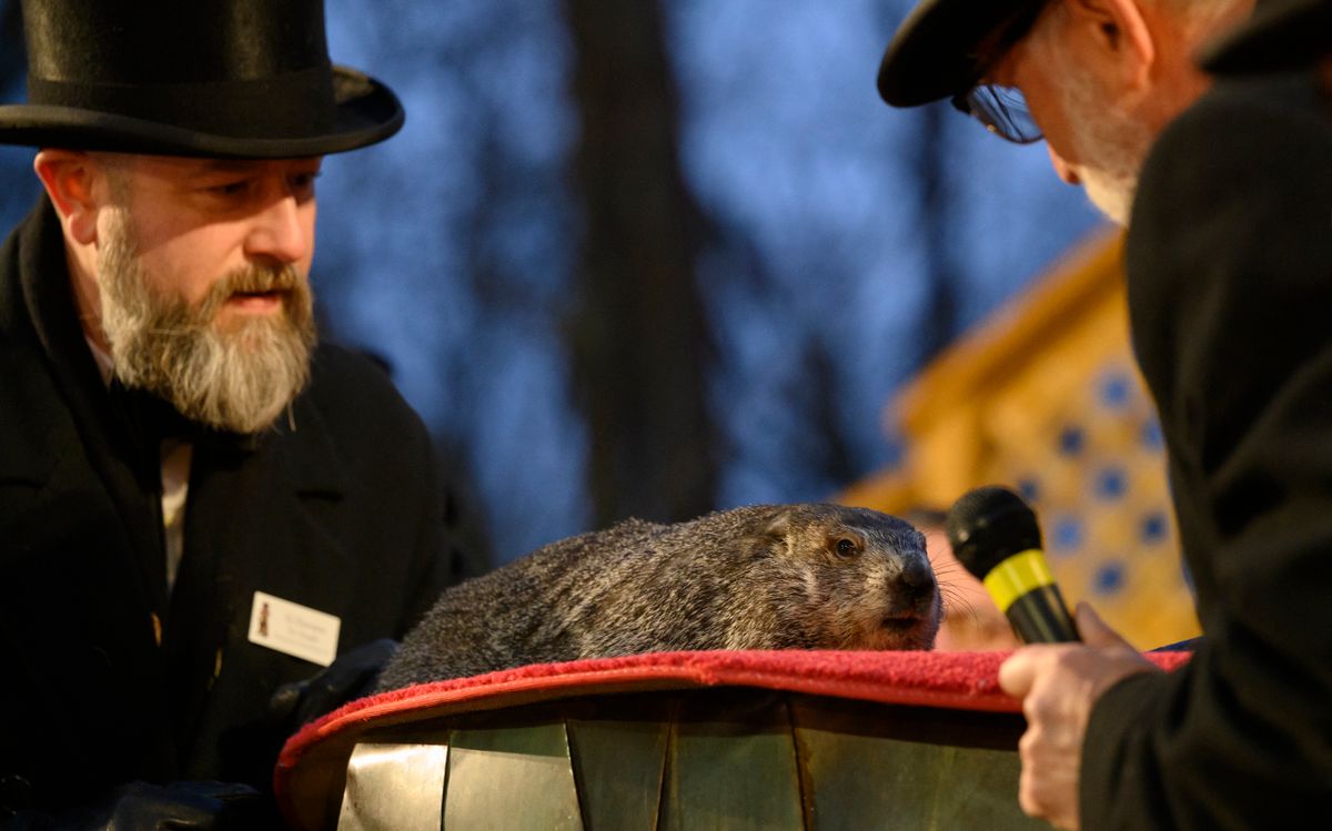 Punxsutawney Phil 