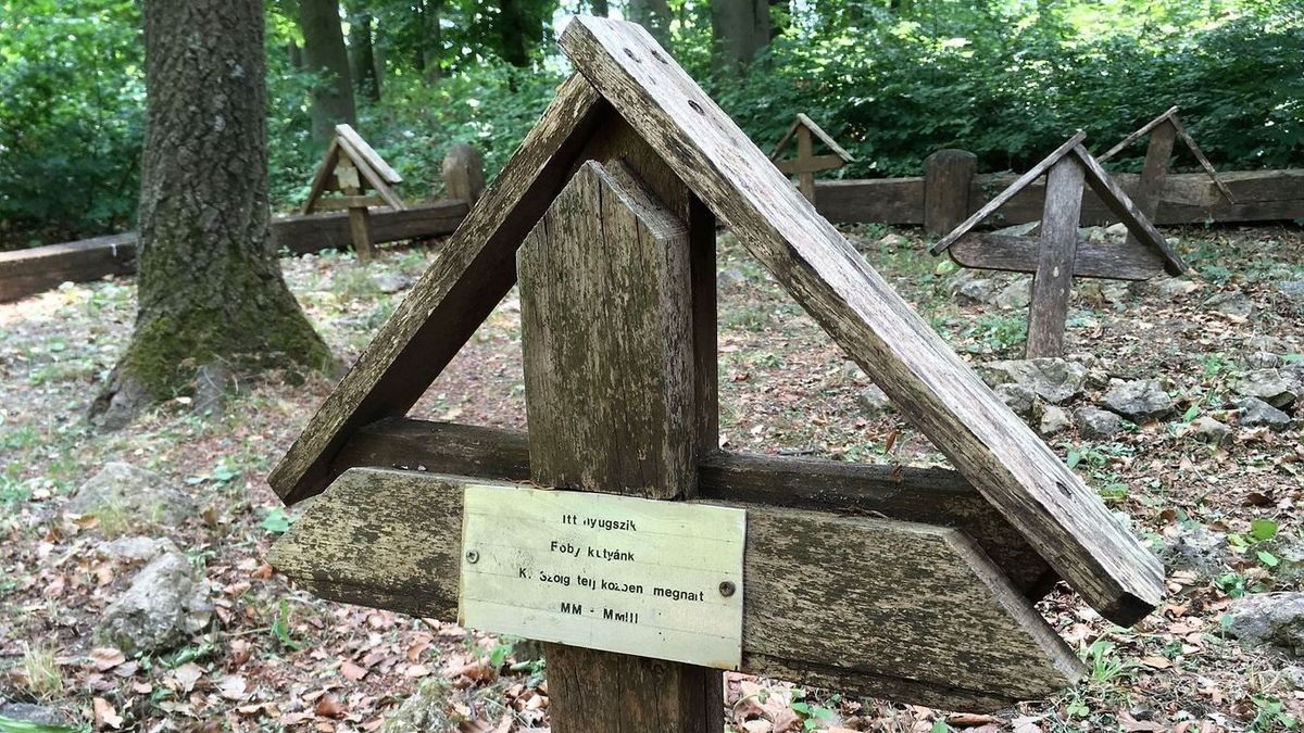 Egykori titkos katonai bázist és különleges temetőt rejt a Keszthelyi-hegység
