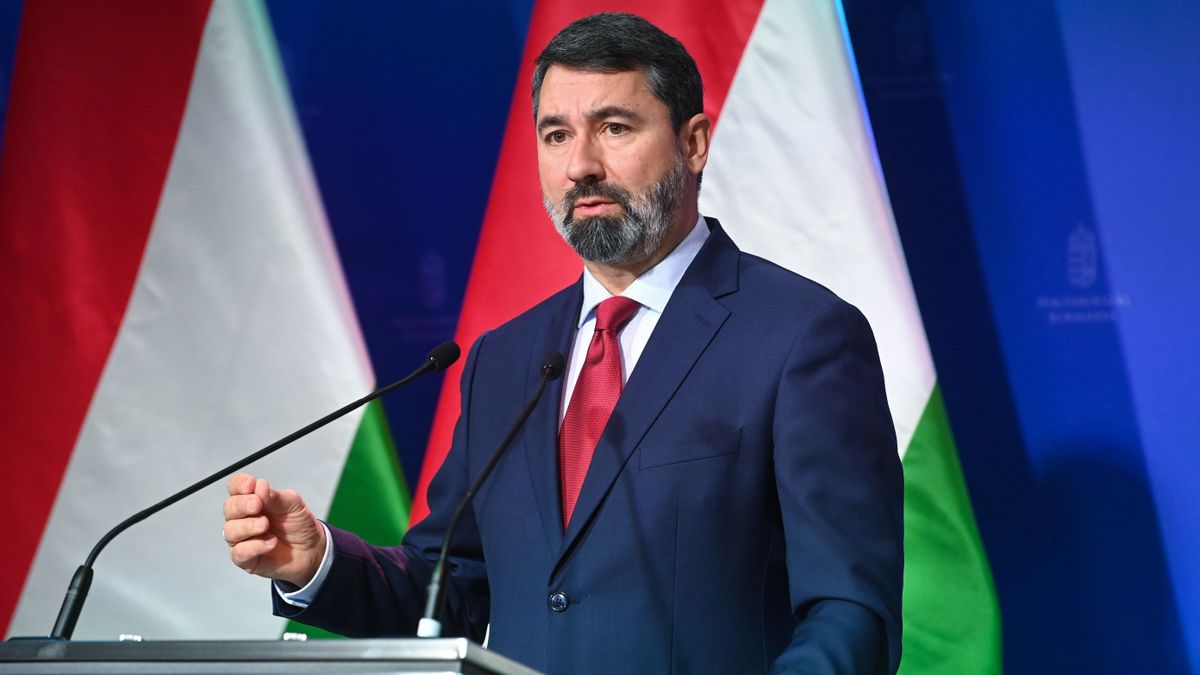 Hidvéghi Balázs: Soros György és civil szervezetei újra támadásban Európa ellen!