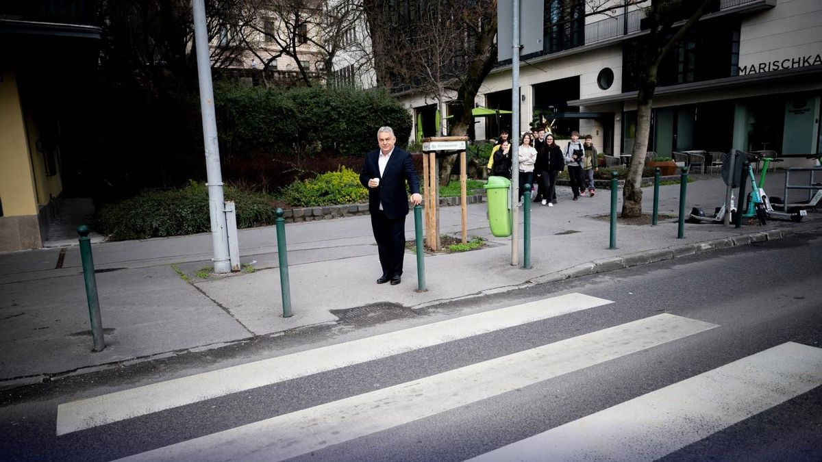 Ma este kiderül, Orbán Viktornak van-e zebrája