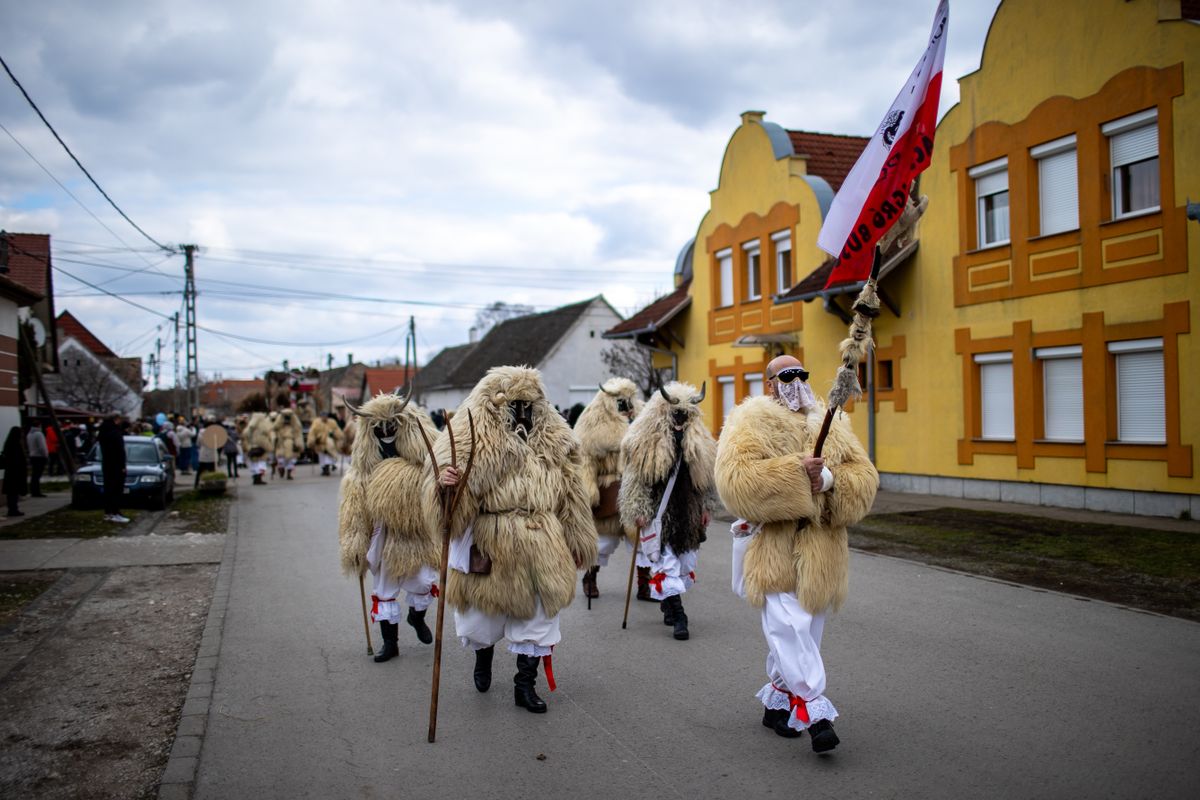 Mohácsi busójárás