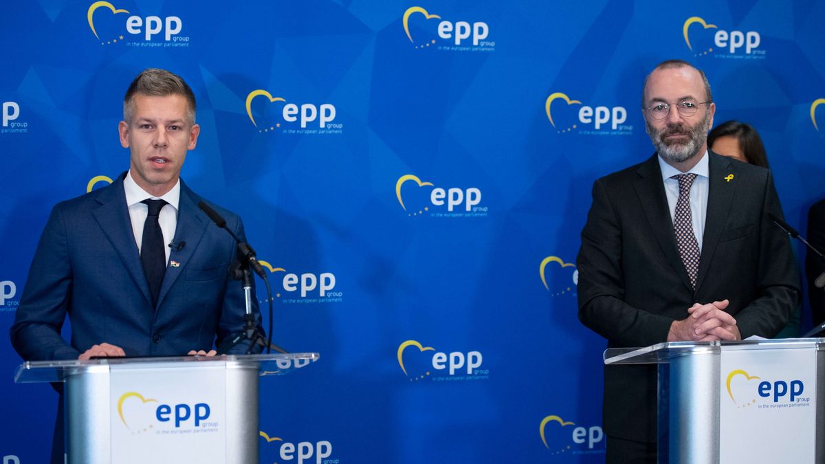 Strasbourg, 2024. október 9.
Magyar Péter, a Tisza Párt elnöke és EP-képviselője (b) és Manfred Weber, az Európai Néppárt (EPP) elnöke sajtótájékoztatót tart Strasbourgban 2024. október 9-én.
MTI/Bodnár Boglárka