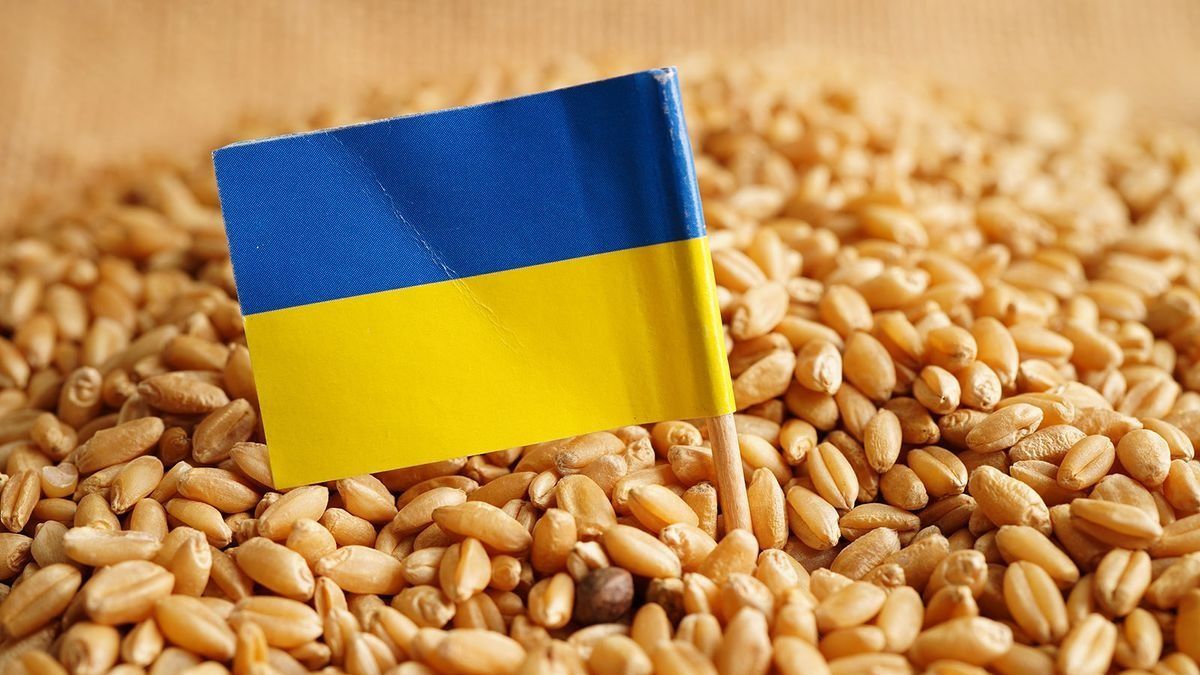 Ukraine’s EU Membership Would Have Irreversible Consequences