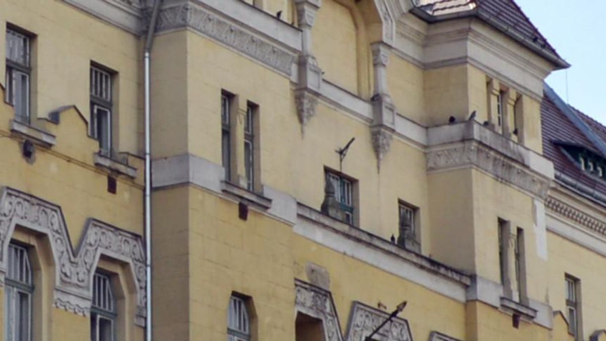 Addig verte a kutyáját egy férfi, amíg az állat el nem pusztult