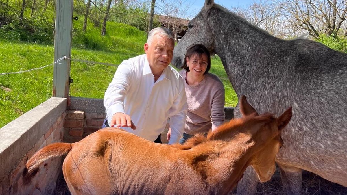 Orbán Viktor: Mert az élet az úr!