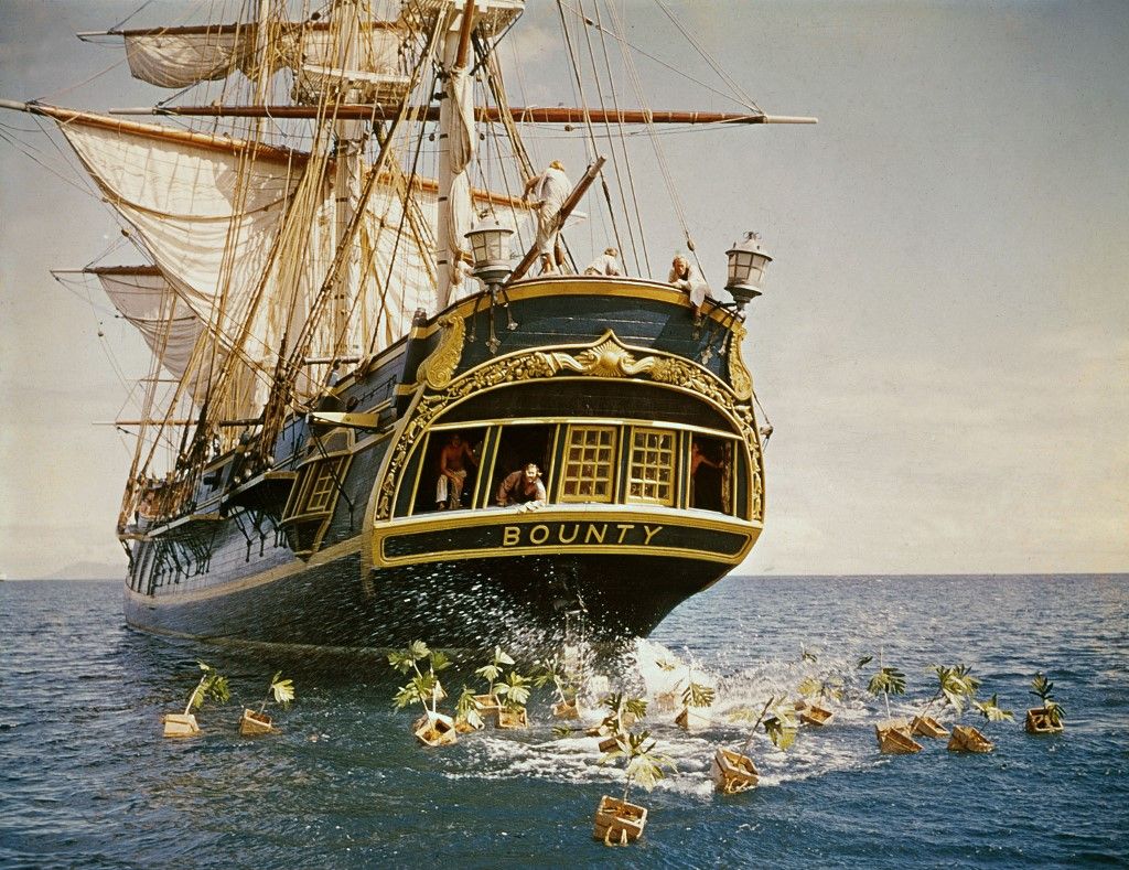 Les revoltes du Bounty
Mutiny on the Bounty
1962
Real Lewis Milestone.
Collection Christophel © Arcola Pictures (Photo by Arcola Pictures / Collection Christophel / Collection ChristopheL via AFP)