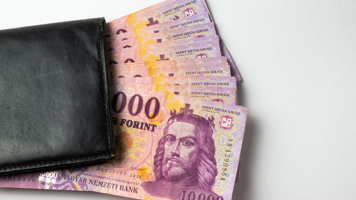 Nem viselte meg a nyugdíjpénztárakat a lakhatási célú kivét