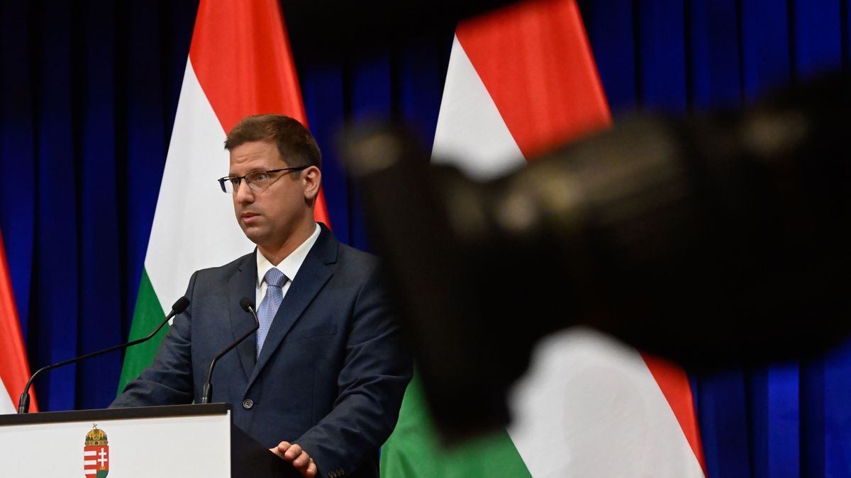Gulyás Gergely bemutatta: így fog kinézni a kormány véleménynyilvánító szavazólapja