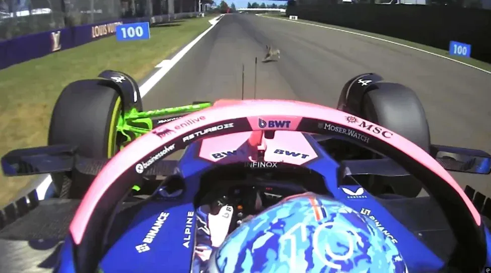 Pierre Gasly szerencsétlen balesete: a Forma-1-es versenyző elütött egy nyulat Imolában.
