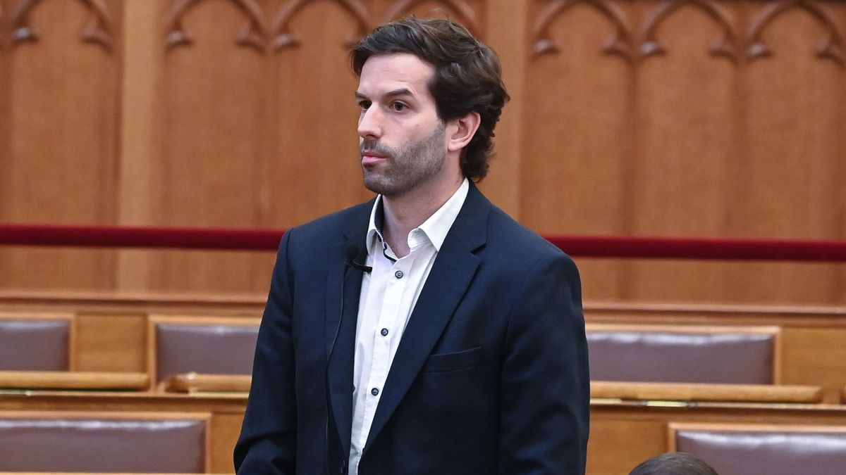 Ennyi volt, Magyar Péter érdekében beáldozzák a Momentumot