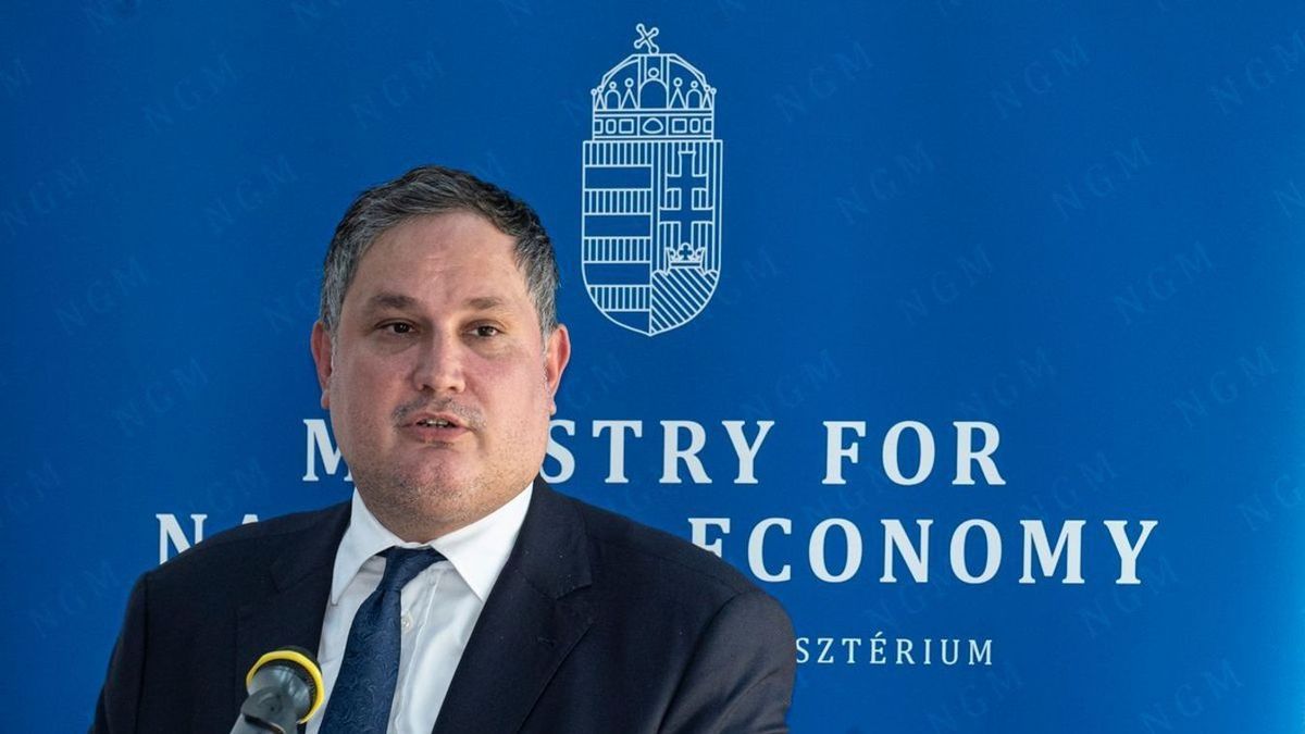 Nagy Márton: cél, hogy minden cég megkapja a támogatást