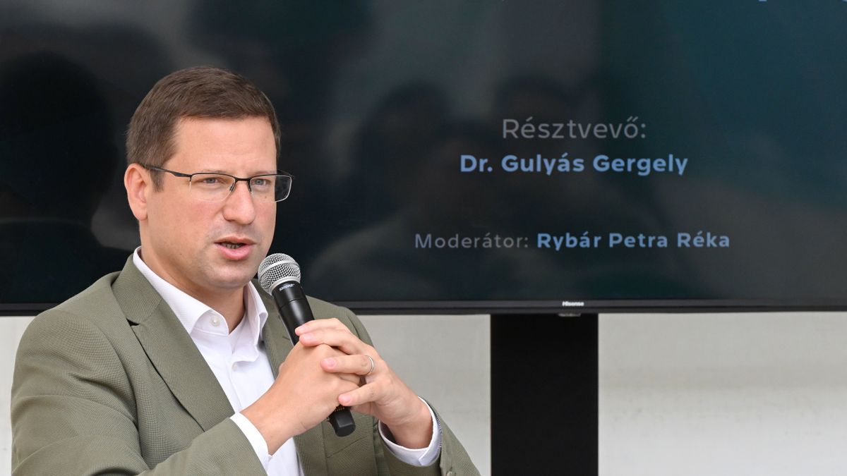 Magyar Péter nem más, mint Gyurcsány politikai gyermeke