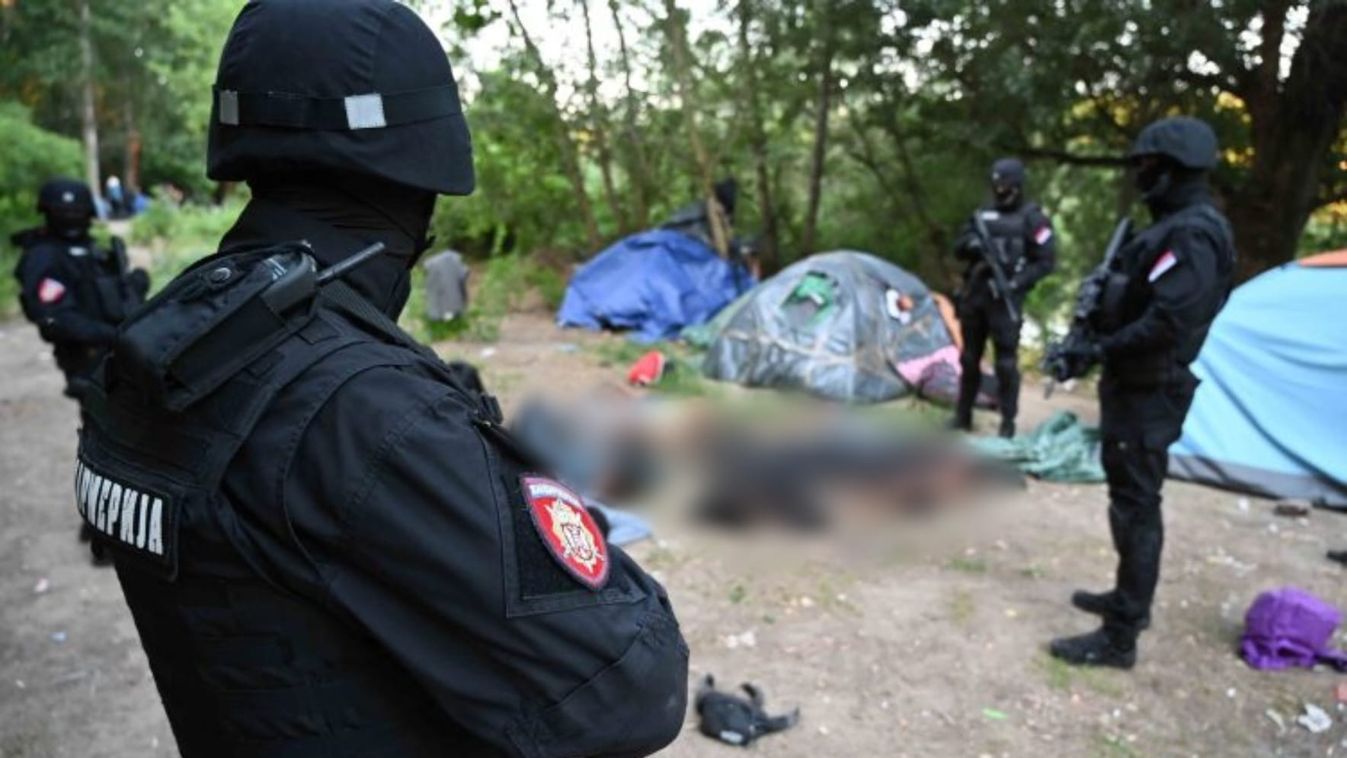 migráció, gyilkosság, erdő, szabadka, palics,