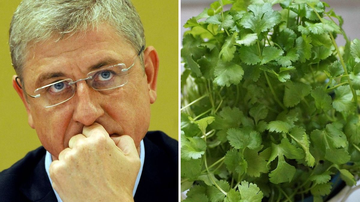 Szentkirályi: Gyurcsány és a koriander egy polcon van nálam