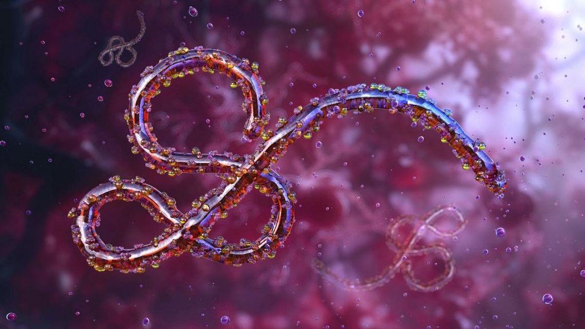 Ebola-gyanús eset Csehországban: a prágai kórházban különítették el a beteget