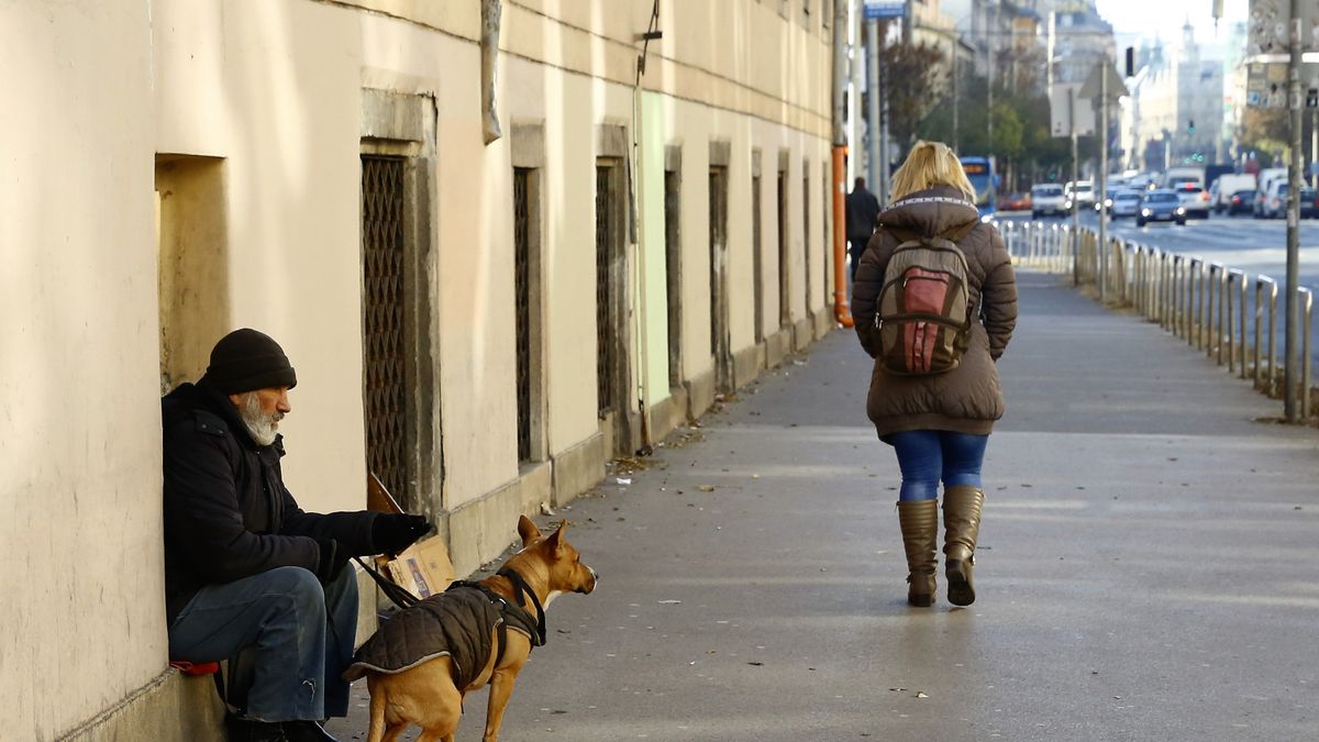 Lesz helye a kormány egymilliárdos támogatásának az állatvédelemben