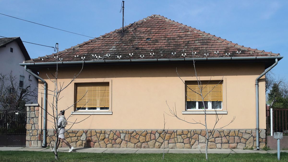 Azt mondták, menj Anyádvalogára? Nem biztos, hogy trágárkodtak