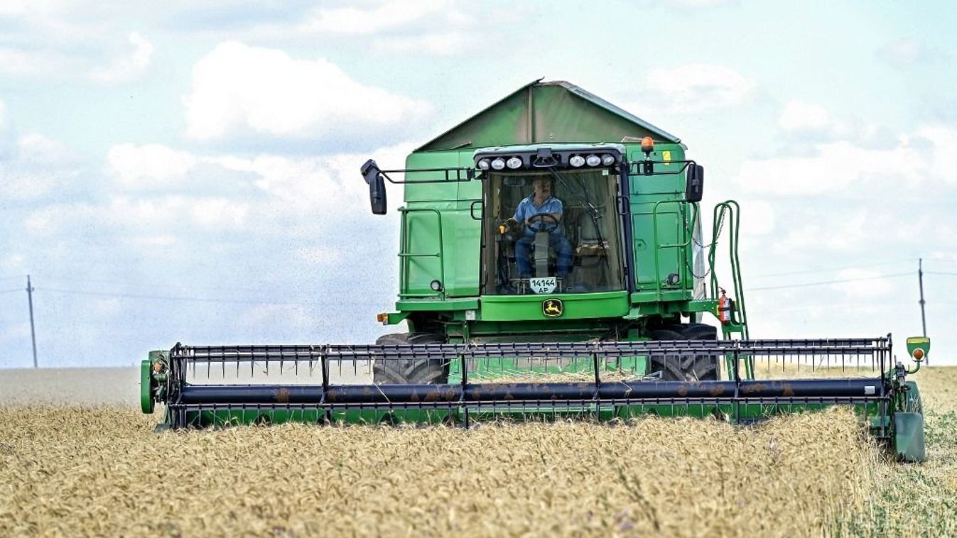 Autumn wheat is harvested on the fields of the Dnipro Waves Agricultural Production Cooperative in the village of Dniprovi Kviyli, Zaporizhzhia region, southeastern Ukraine, on June 29, 2024 (Photo: NurPhoto/AFP/ Dmytro Smolienko)