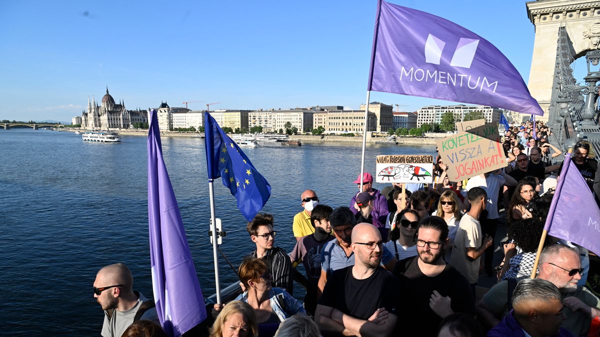 Magyar Péter ifjúsági szervezete lett a Momentum