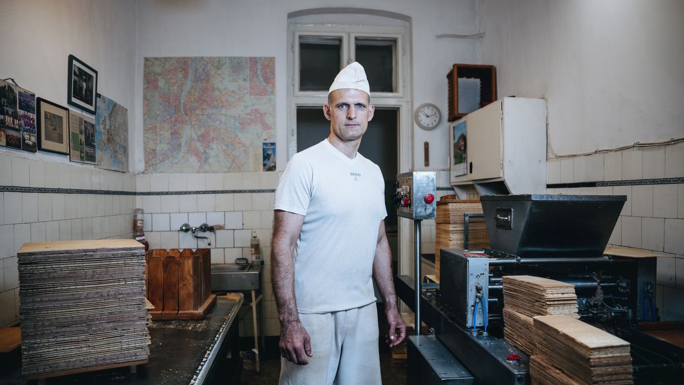 20250417 Budapest
Széles Szabolcs ostya és nápolyi készítő mester 
Lugas 05.24.

Fotó: Ladóczki Balázs  LB  
MW