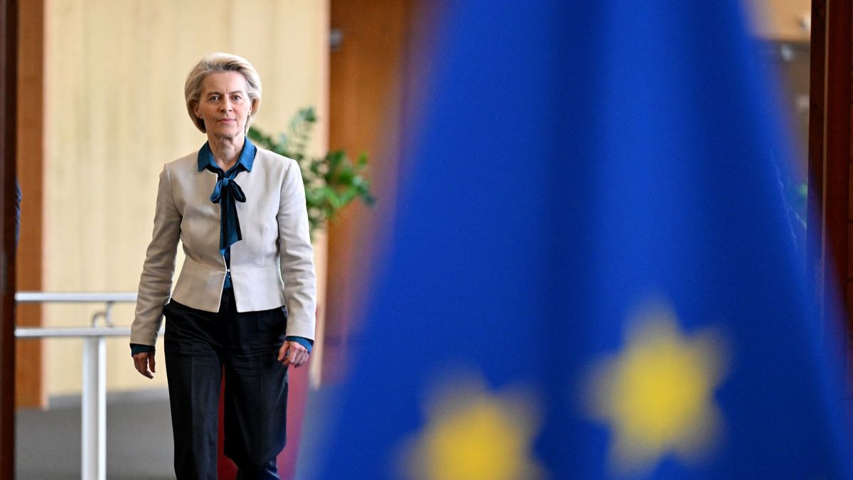 Von der Leyen vonat helyett magánrepülővel utazott