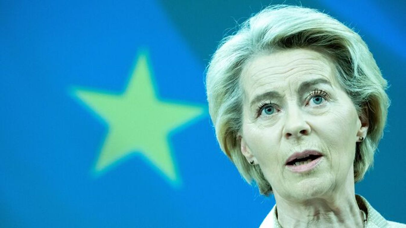 European Commission President Ursula von der Leyen (Source: AFP)