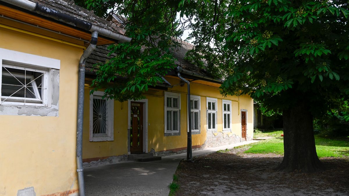 Illegális szociális otthonokat számolt fel a NAV