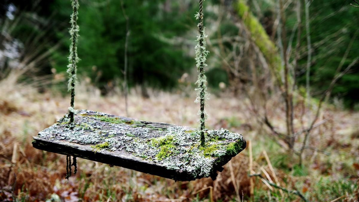 Holttestre bukkantak Kaposvár határában, a rendőrség vizsgálódik