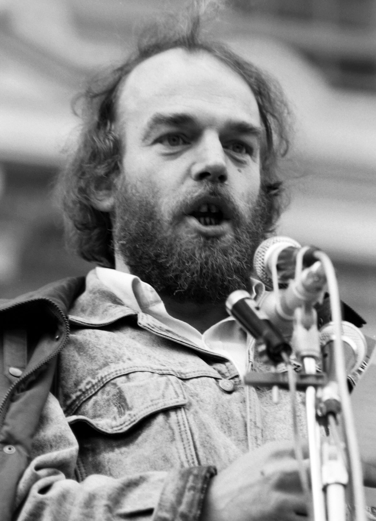 Lugas csengey dénes