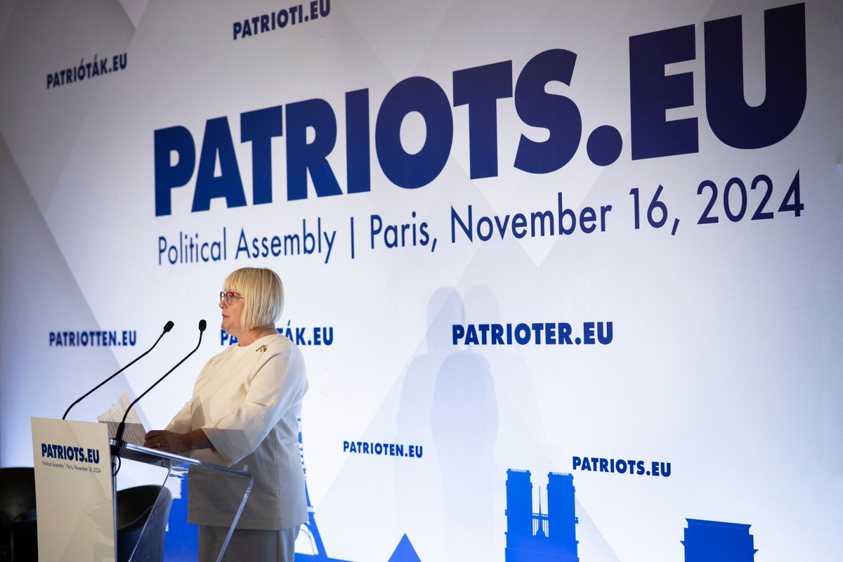 Gál Kinga felszólalt az Európai Parlamentben