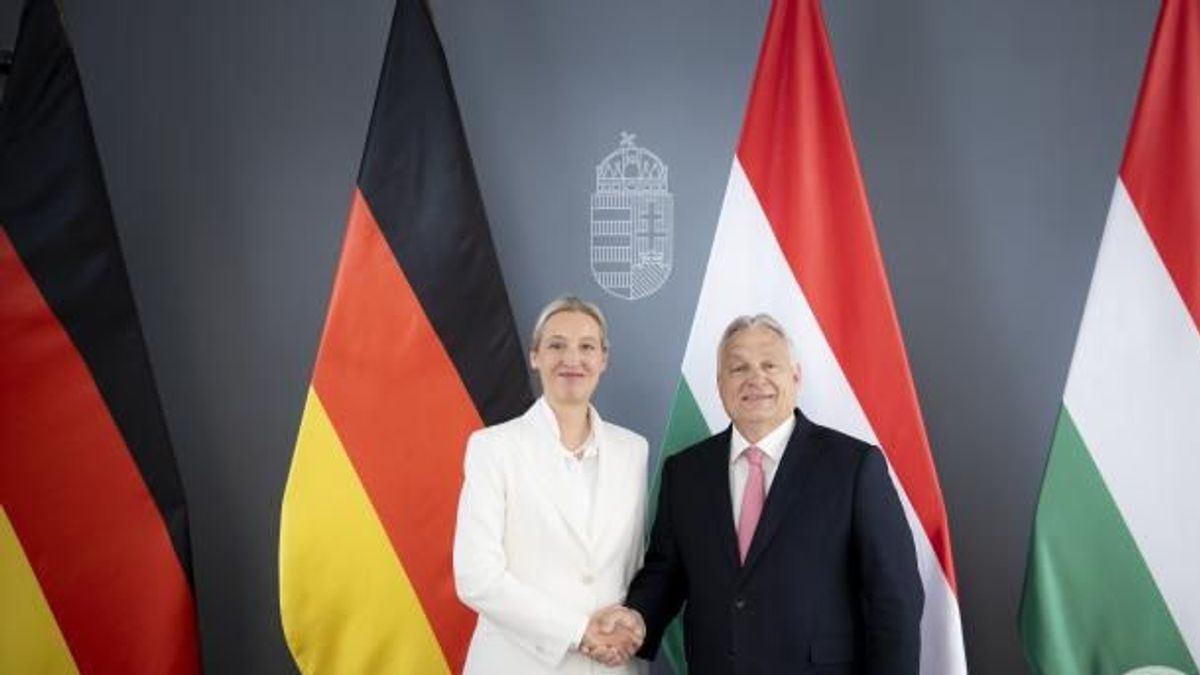 Orbán Viktor miniszterelnök fogadta Alice Weidelt