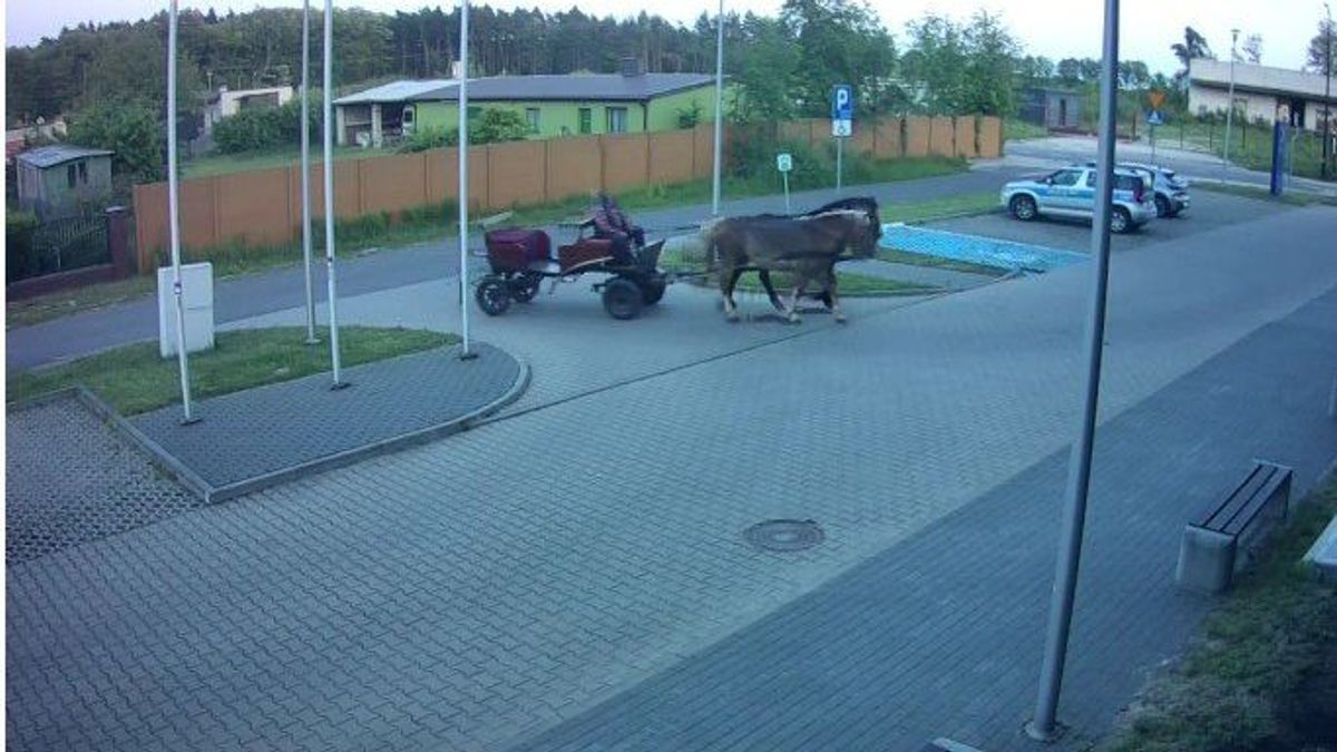 A történet, amit nehéz lenne kitalálni: így bukott le a visszaeső ittas vezető + videó