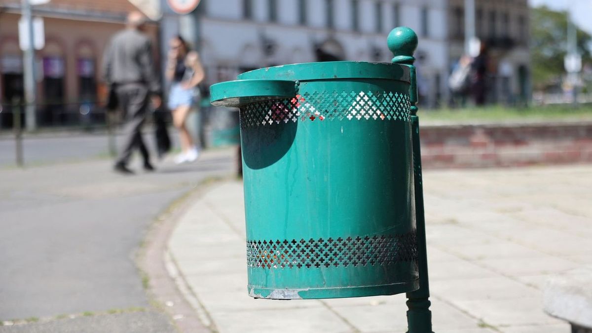 Döglött róka, művégtag, guminő – elképesztő dolgokat rejtenek a pécsi szemetesek
