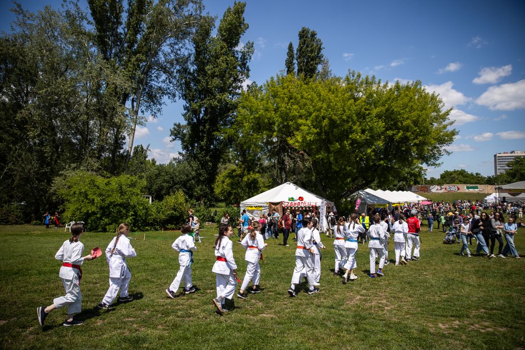 Gyereknap a Városligetben