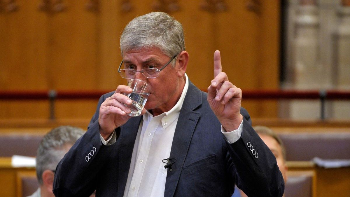 Gyurcsány Ferenc lemondása Magyar Péternek közvetlen hátrányt jelenthet