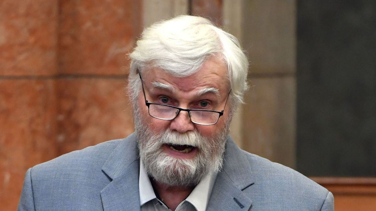 Magyar Péter ősz szakállú hódolója borította a bilit