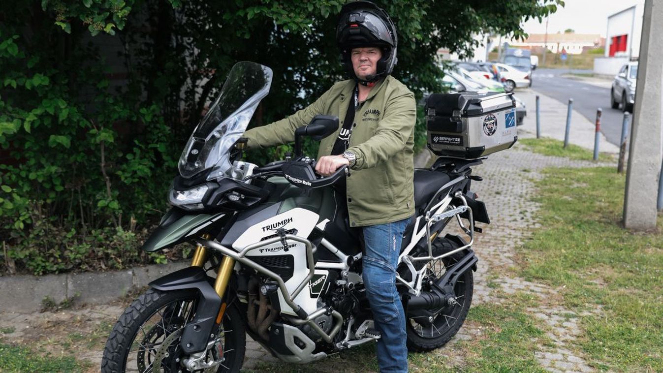 Guri 15 ezer kilométert tett meg sértetlenül, azonban csütörtökön az 1-es főúton érte baleset (Fotó: Molcsányi Máté)