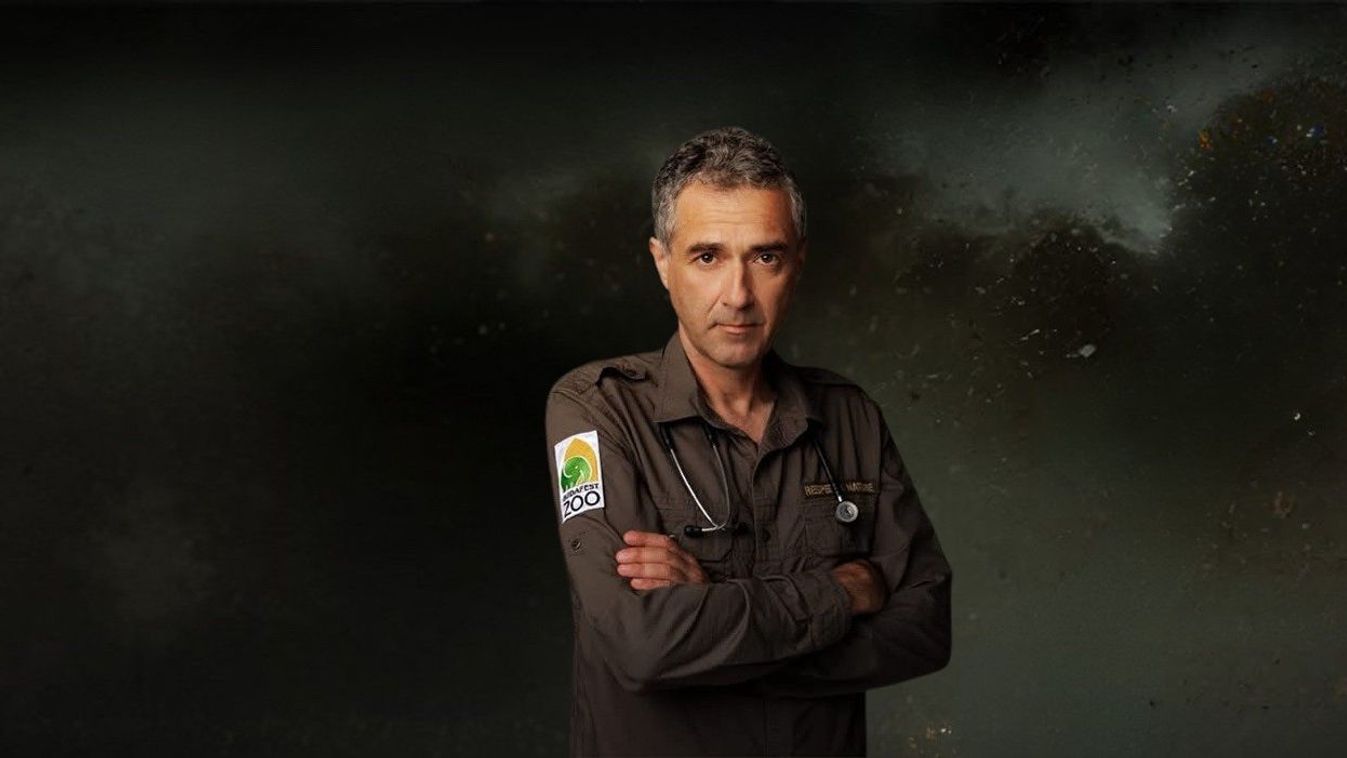 Borítókép: Illusztráció / Forrás: zoobudapest.com
