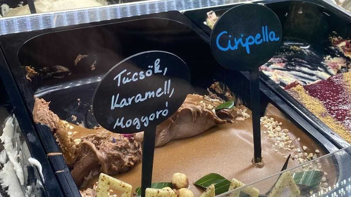 Ezt mondja a Ciripelláról az, aki már kóstolta a hírhedt tücsökfagyit