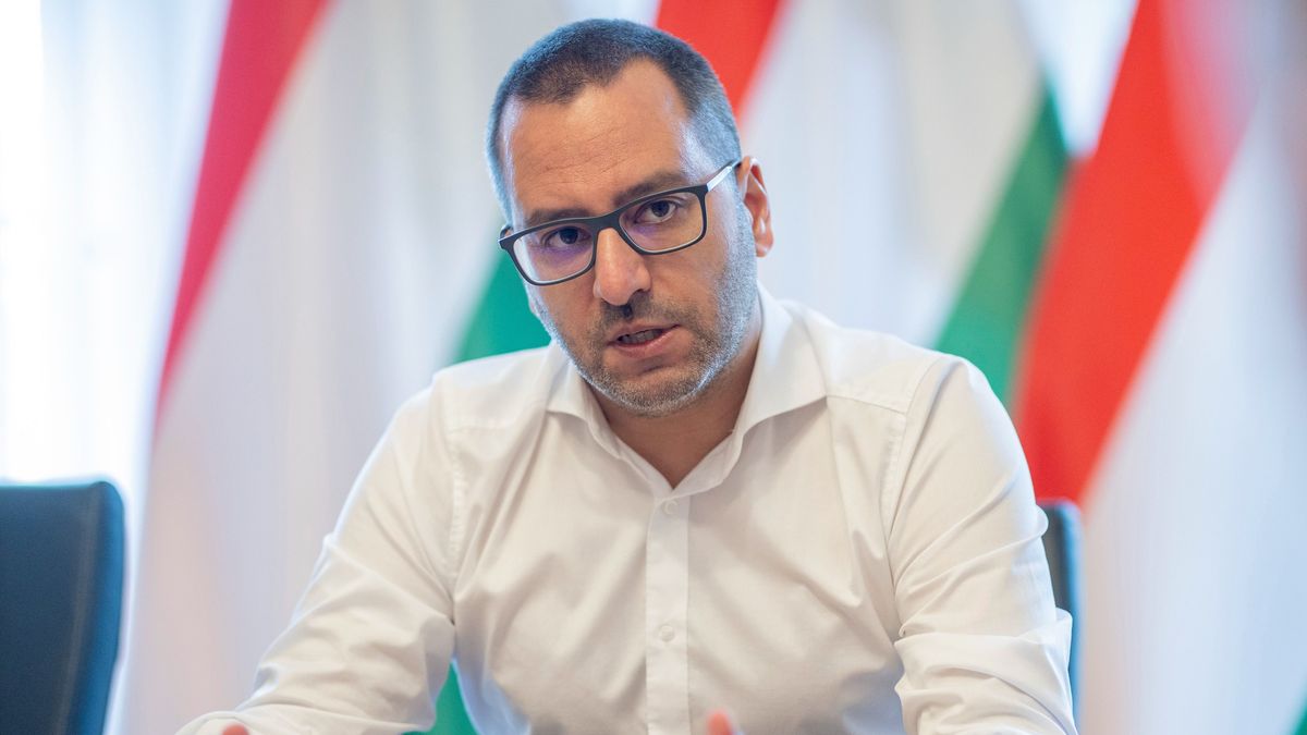 Ukrán kémbotrány: ilyen veszélyekkel jár Ukrajna és az ellenzék dezinformációs kampánya