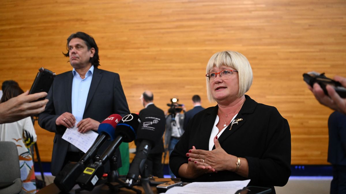 Gál Kinga és Deutsch Tamás levélben fordult az európai parlamenti képviselőkhöz