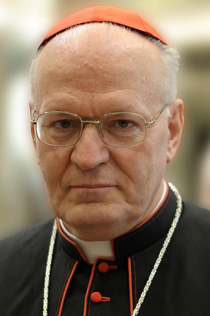 (FILES) This handout picture released by the Vatican Press Office taken on February 28, 2013 shows Hungarian cardinal Peter Erdo. Cardinals from all over the world will be in Rome for the funeral of Pope Francis, who died on April 21, 2025, and to take part in the General Congregations (preparatory meetings) before the conclave. Among them, 135 cardinal electors, those under the age of 80, will take part in the vote. Diplomats, practitioners, theologians and mediators: Erdo is one of 15 whose votes will count when the time comes to cast their ballots. Although some of them are regularly presented by observers as "papabili", i.e. favourites to succeed Francis, the outcome of the conclave is always unpredictable, making any prognosis very hazardous. (Photo by Handout / VATICAN MEDIA / AFP) / RESTRICTED TO EDITORIAL USE - MANDATORY CREDIT "AFP PHOTO / VATICAN MEDIA" - NO MARKETING NO ADVERTISING CAMPAIGNS - DISTRIBUTED AS A SERVICE TO CLIENTS