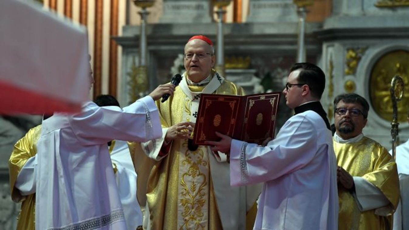 Cardinal Peter Erdo, Archbishop of Esztergom–Budapest (Photo: AFP/Attila Kovacs)