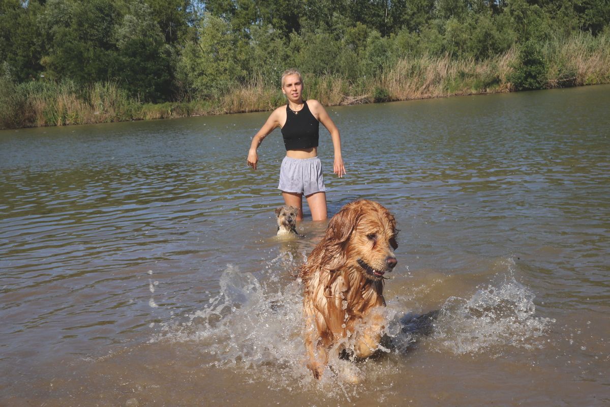 2020.07.10. Pécs
Kutyastrand, Tóth Anett kutyájával élvezi a vizet.
Fotó: Löffler Péter lp
Dunántúli Napló