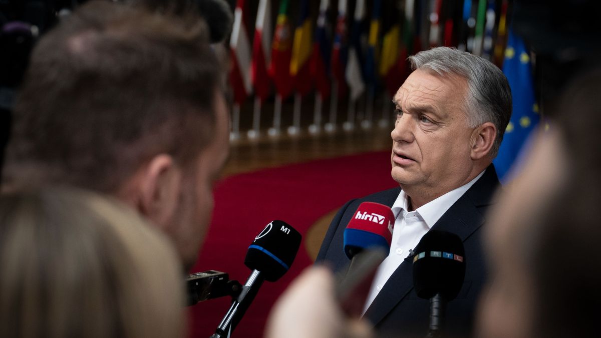 A macskafogó és az elmetrükkök