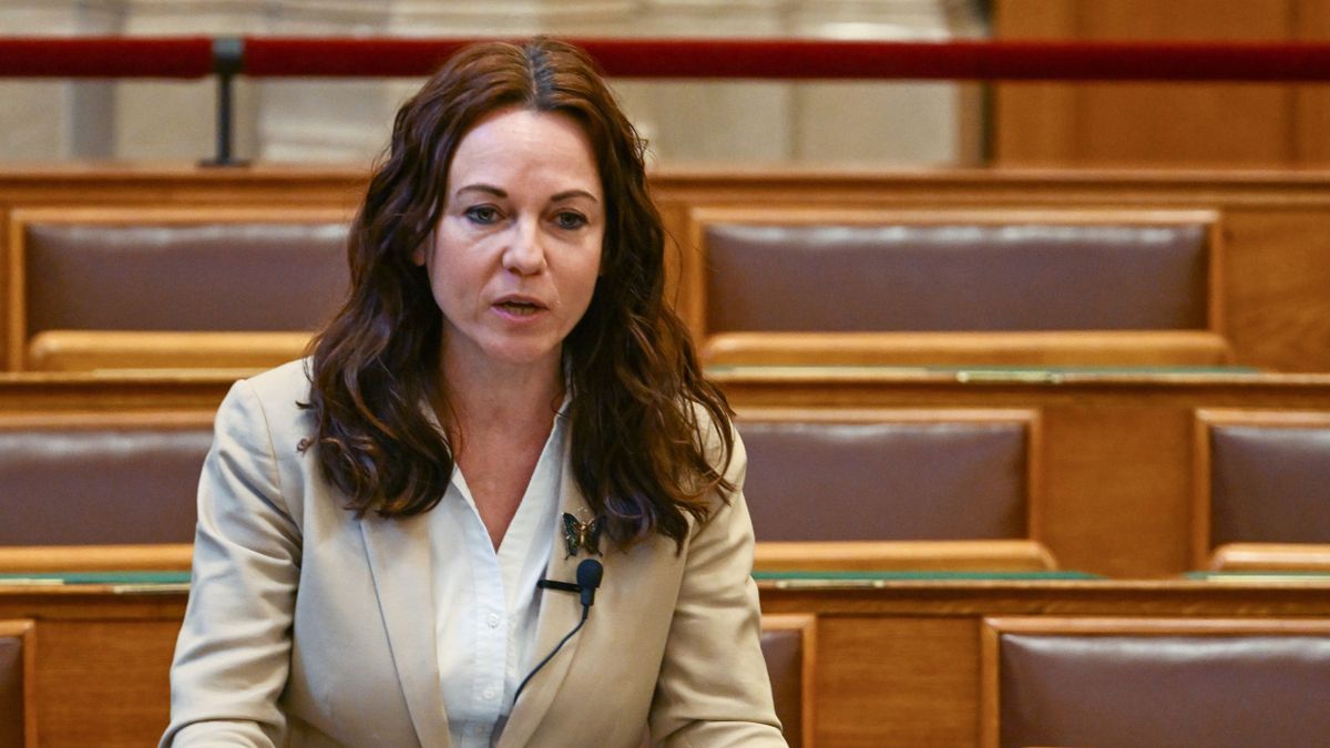 A baloldali média még Szabó Tímeát is félrevezeti