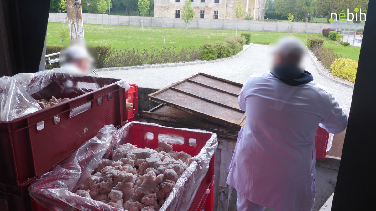 Ebből nagy baj lehetett volna Budaörsön