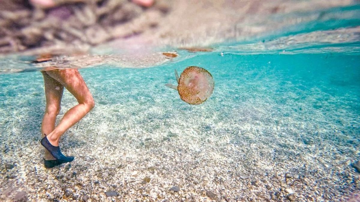 Furcsa jelenség ijeszti el a turistákat a magyarok által is kedvelt nyaralóhely partjaitól