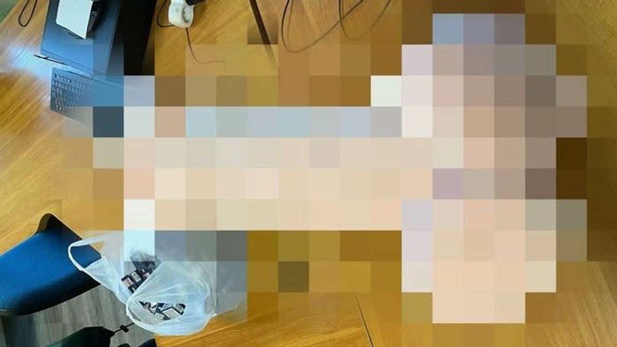 Lánybúcsús huncutság: pénisz alakú plüssben lapult a cigi a röszkei határon