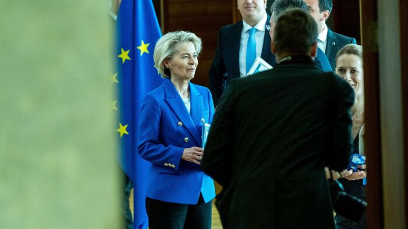 Instead of academic freedom, Brussels is funding political ideology, a researcher says (Source: AFP)